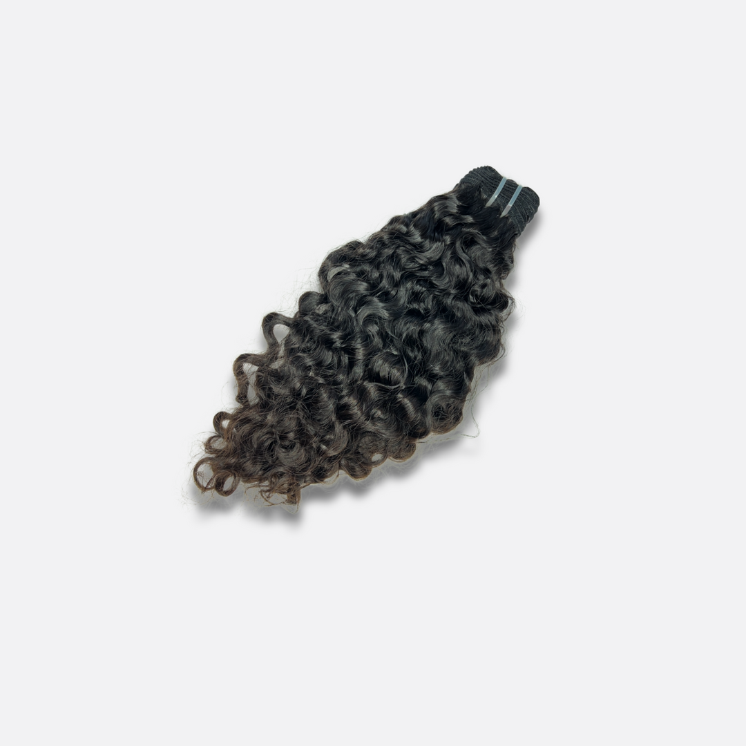 Raw Burmese Curly